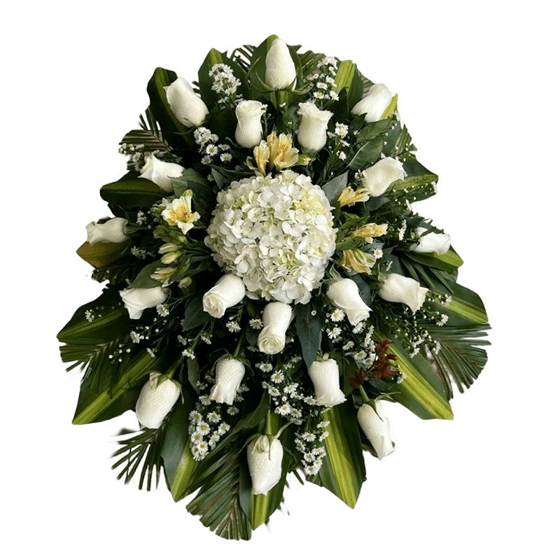 Lagrima Hortensia