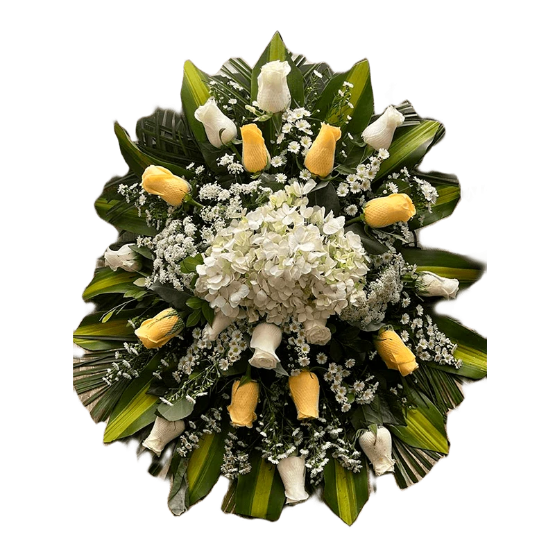 Lagrima con Centro Blanco