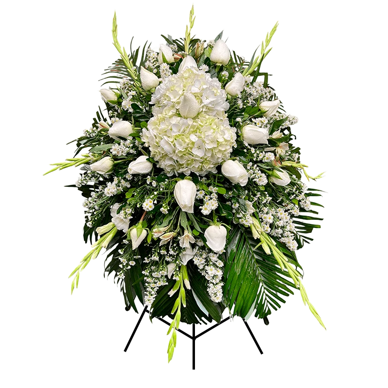 Parante Hortensia