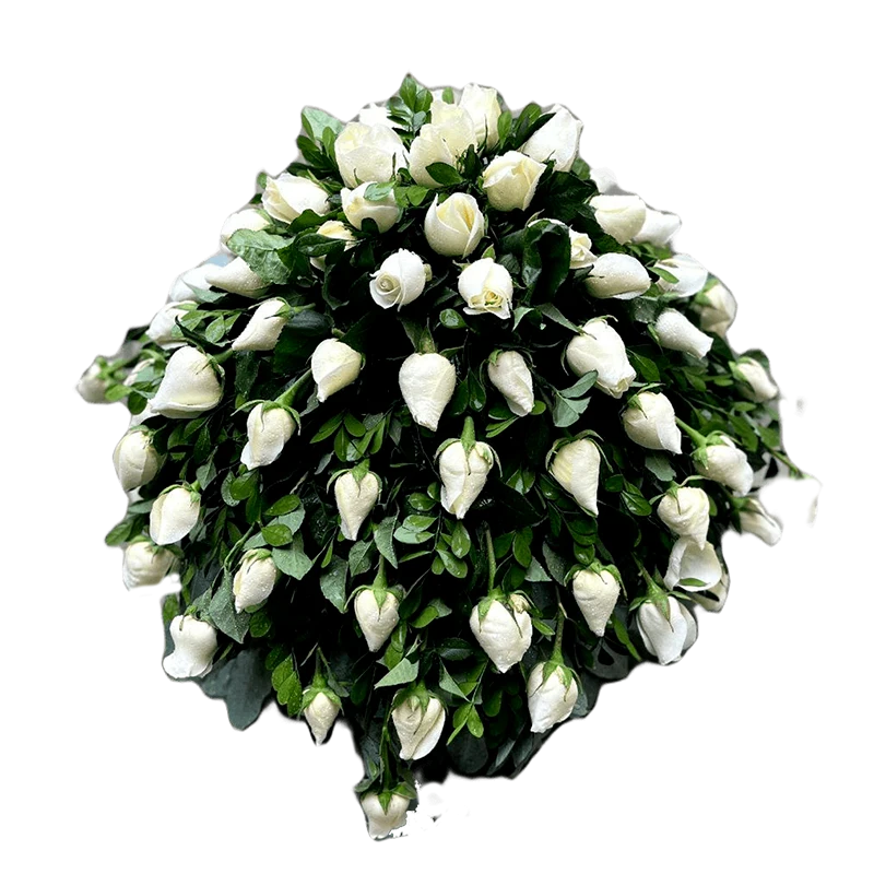 Manto Blanco