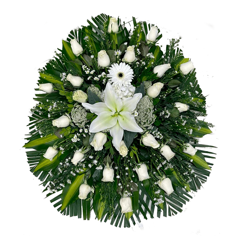 Lagrima Fúnebre Blanca 2