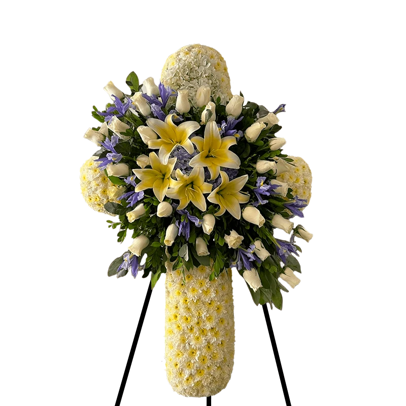 Cruz Iris