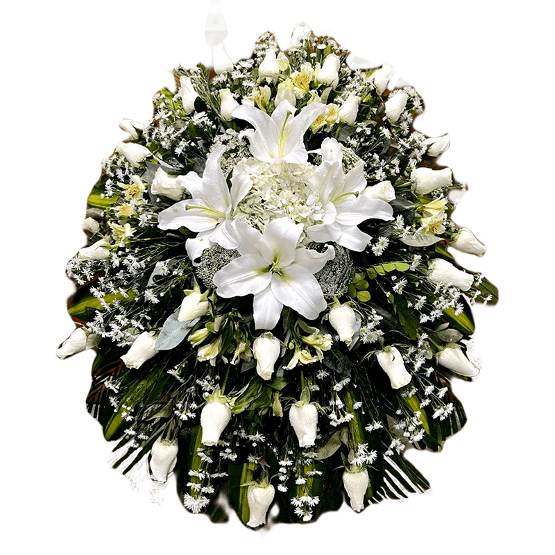 Lagrima Blanca