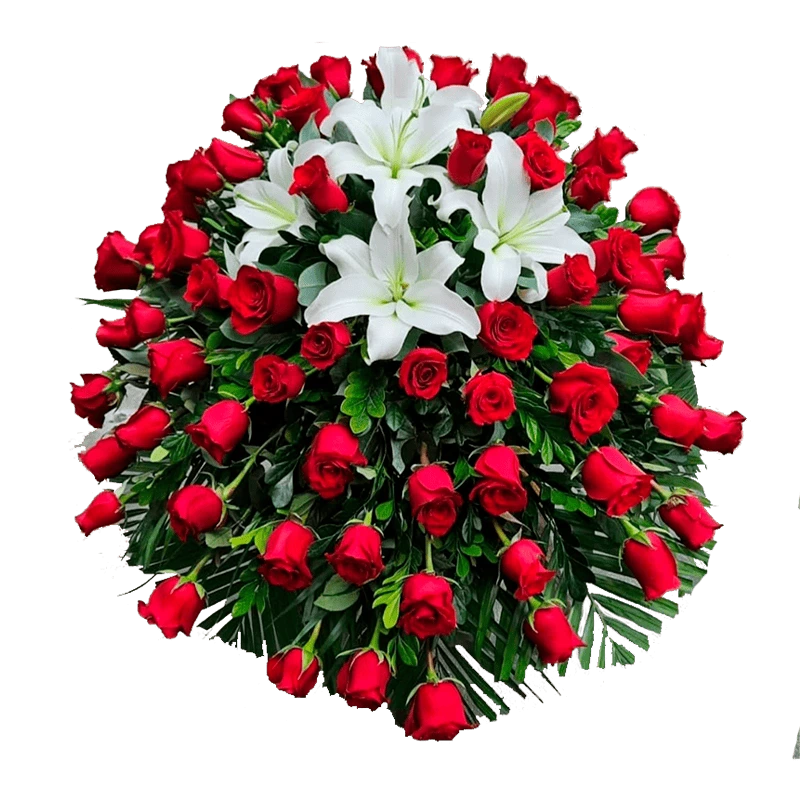 Manto Rojo 